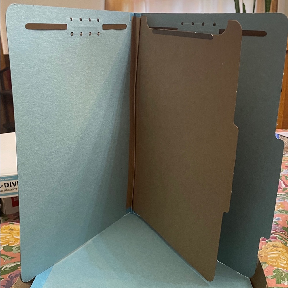 Light Blue Classification Folders - Picture 2 of 2